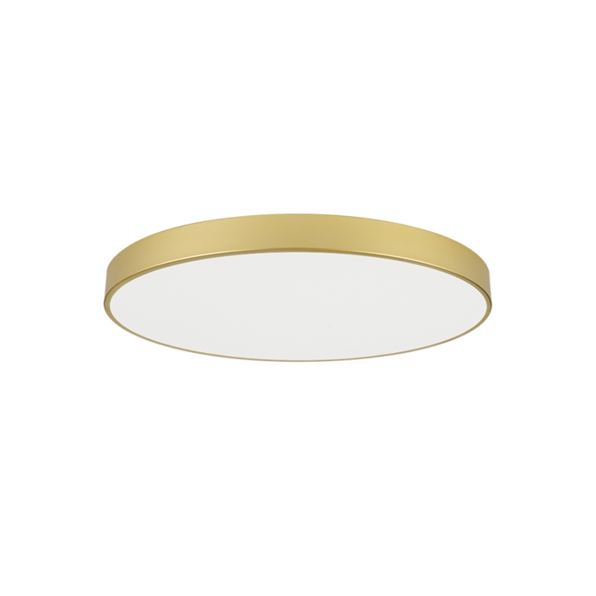 Brilagi - LED φωτιστικό οροφής POOL LED/100W/230V 3000/4000/6000K διάμ. 80 cm χρυσό