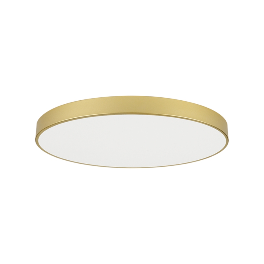 Brilagi - LED φωτιστικό οροφής POOL LED/128W/230V 3000/4000/6000K διάμ. 100 cm χρυσό
