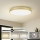 Brilagi - LED φωτιστικό οροφής POOL LED/128W/230V 3000/4000/6000K διάμ. 100 cm χρυσό