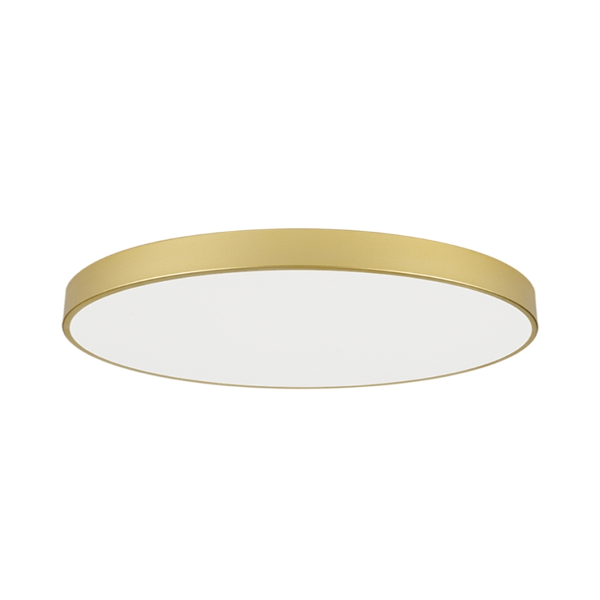 Brilagi - LED φωτιστικό οροφής POOL LED/180W/230V 3000/4000/6000K Ø 120 cm χρυσό