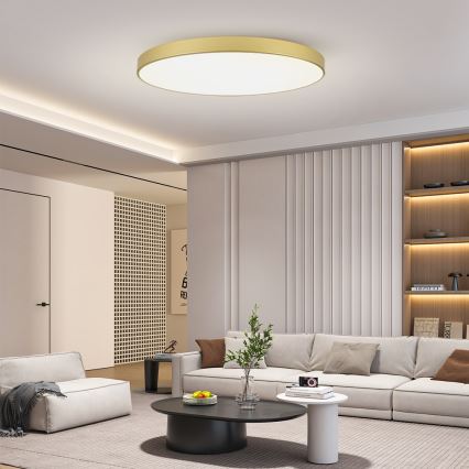 Brilagi - Φωτιστικό οροφής LED POOL LED/180W/230V 3000/4500/6000K Ø 120 cm χρυσό