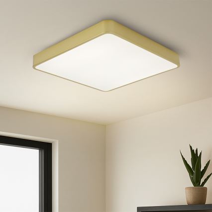 Brilagi - LED φωτιστικό οροφής POOL LED/48W/230V 3000/4000/6000K 50x50 cm χρυσό