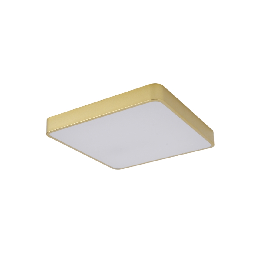 Brilagi - LED φωτιστικό οροφής POOL LED/48W/230V 3000/4000/6000K 50x50 cm χρυσό