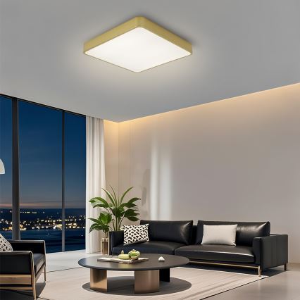 Brilagi - LED φωτιστικό οροφής POOL LED/48W/230V 3000/4500/6000K 50x50 cm χρυσό