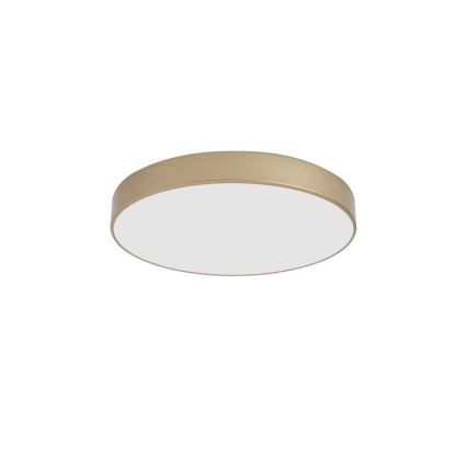 Brilagi - LED φωτιστικό οροφής POOL LED/60W/230V 3000/4000/6000K Ø 50 cm χρυσό