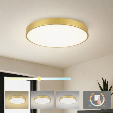 Brilagi - LED φωτιστικό οροφής POOL LED/60W/230V 3000/4000/6000K Ø 60 cm χρυσό