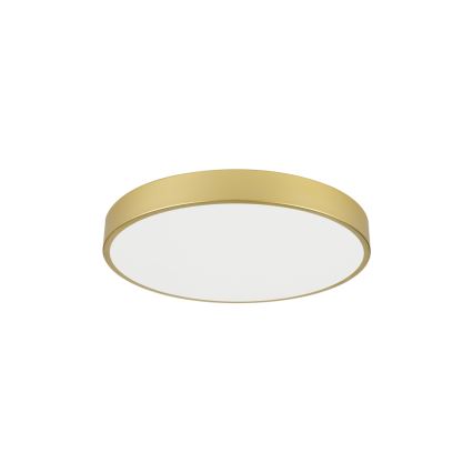 Brilagi - LED φωτιστικό οροφής POOL LED/60W/230V 3000/4000/6000K Ø 60 cm χρυσό