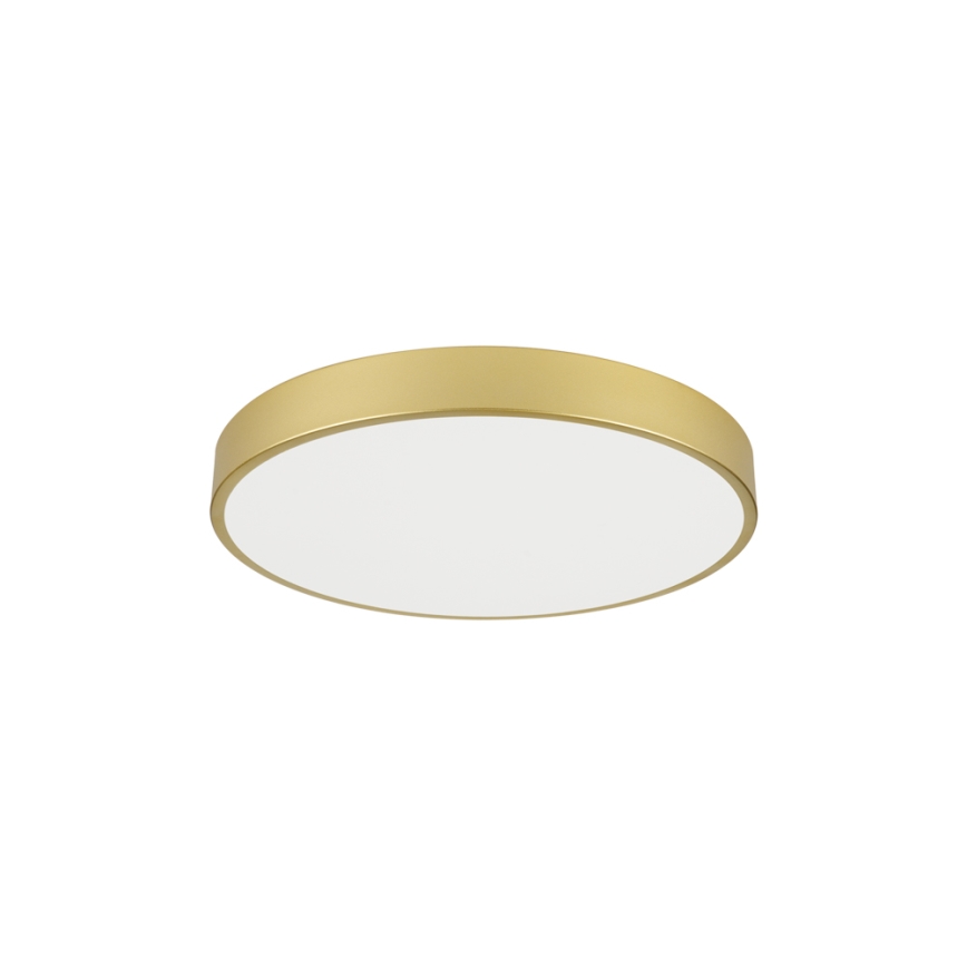 Brilagi - LED φωτιστικό οροφής POOL LED/60W/230V 3000/4000/6000K Ø 60 cm χρυσό