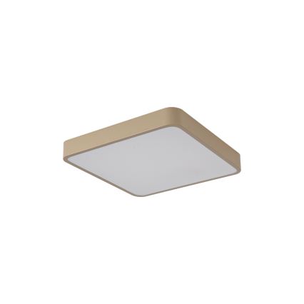 Brilagi - LED φωτιστικό οροφής POOL SQUARE LED/36W/230V 3000/4000/6000K 40x40 cm μπεζ