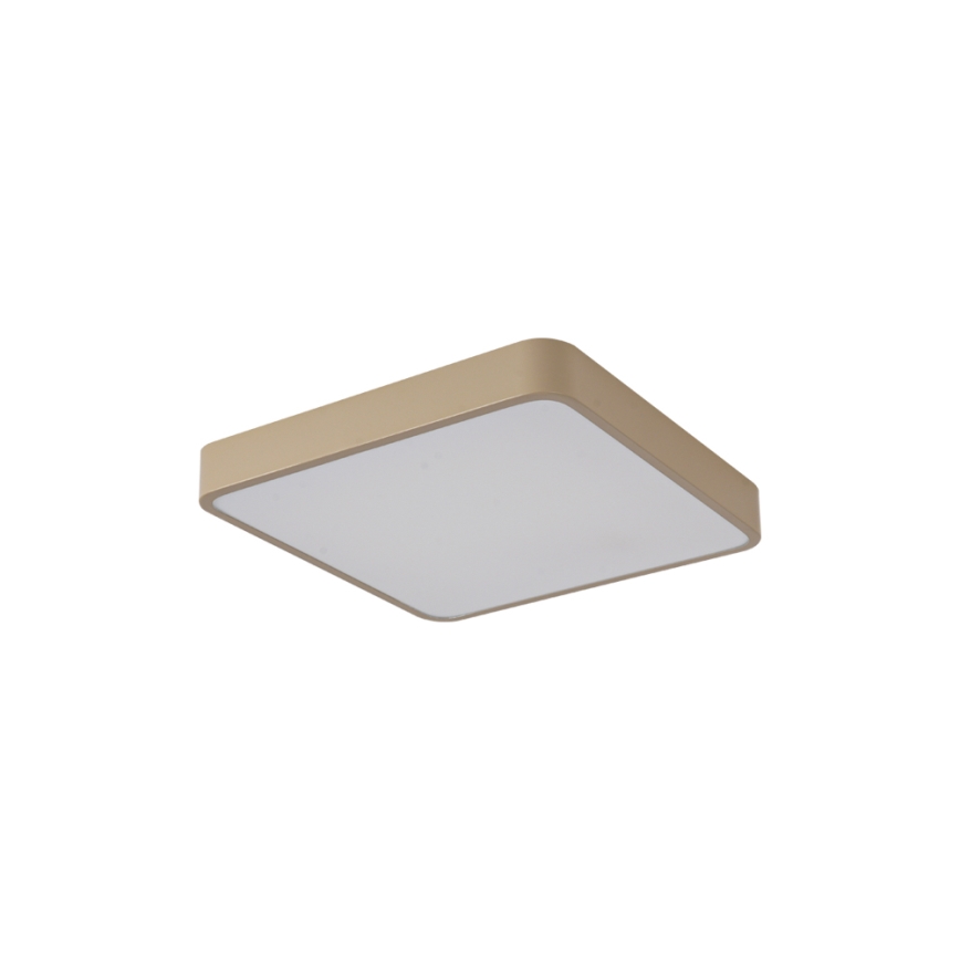 Brilagi - LED φωτιστικό οροφής POOL SQUARE LED/36W/230V 3000/4000/6000K 40x40 cm μπεζ