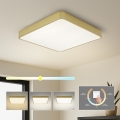 Brilagi - LED φωτιστικό οροφής POOL SQUARE LED/48W/230V 3000/4000/6000K 50x50 cm χρυσό