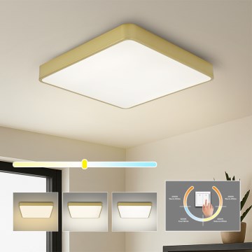 Brilagi - LED φωτιστικό οροφής POOL SQUARE LED/48W/230V 3000/4000/6000K 50x50 cm χρυσό