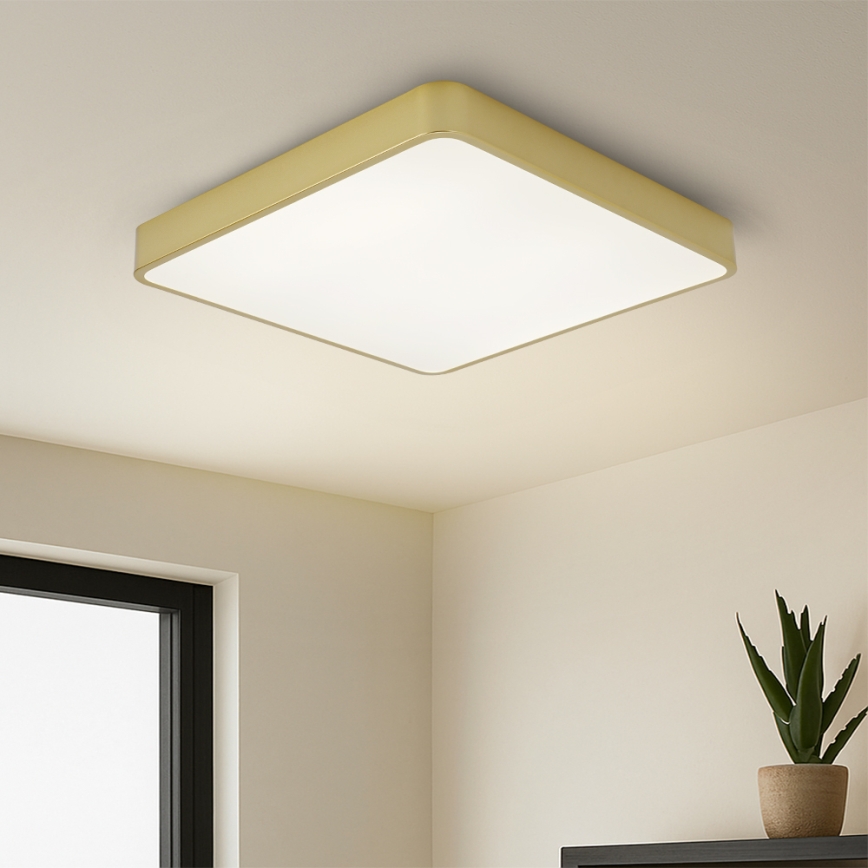 Brilagi - LED φωτιστικό οροφής POOL SQUARE LED/48W/230V 3000/4000/6000K 50x50 cm χρυσό