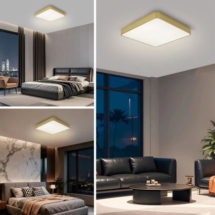 Brilagi - LED φωτιστικό οροφής POOL SQUARE LED/48W/230V 3000/4000/6000K 50x50 cm χρυσό