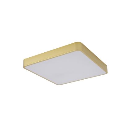 Brilagi - LED φωτιστικό οροφής POOL SQUARE LED/48W/230V 3000/4000/6000K 50x50 cm χρυσό