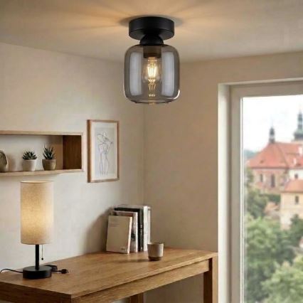 BRILAGI - LED φωτιστικό οροφής RETRO GLASS 1xE27/60W/230V Ø 14 cm μαύρο/καπνιστό γκρι