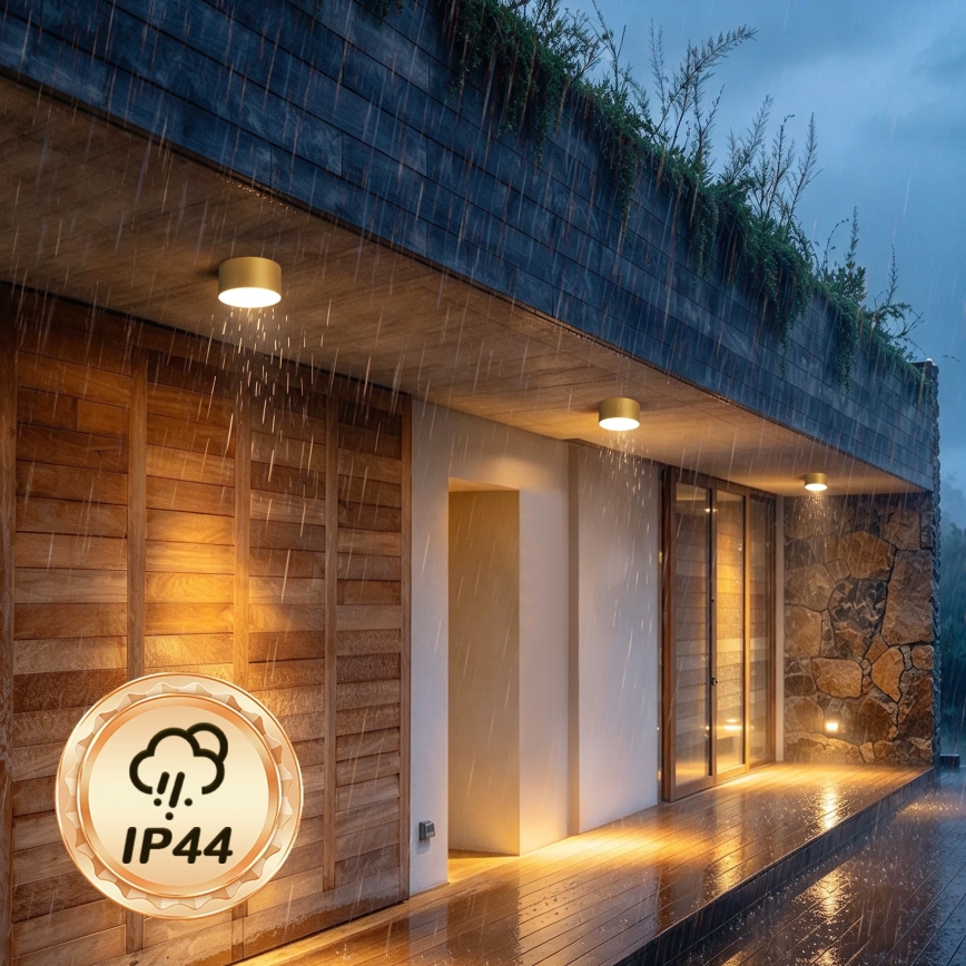 BRILAGI - LED Εξωτερικό φωτιστικό οροφής FORIS LED/14W/230V Ø 12 εκ. χρυσό IP44
