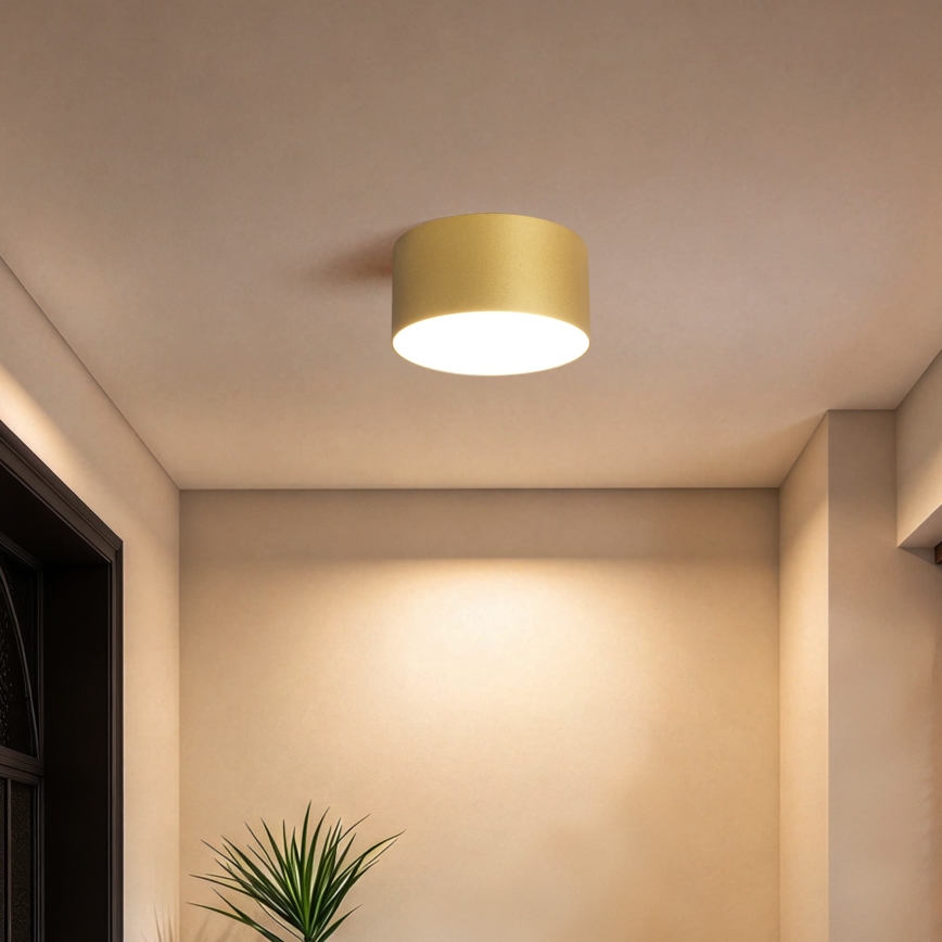 BRILAGI - LED Εξωτερικό φωτιστικό οροφής FORIS LED/14W/230V Ø 12 εκ. χρυσό IP44
