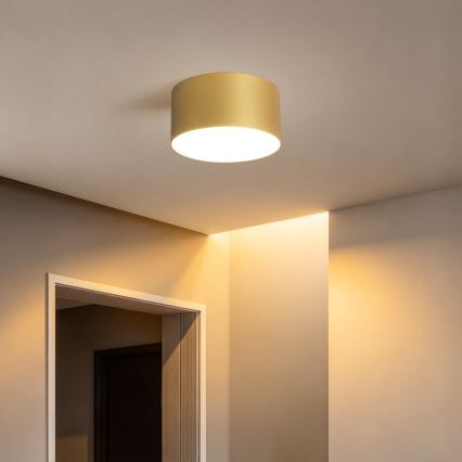 BRILAGI - LED Εξωτερικό φωτιστικό οροφής FORIS LED/14W/230V Ø 12 εκ. χρυσό IP44