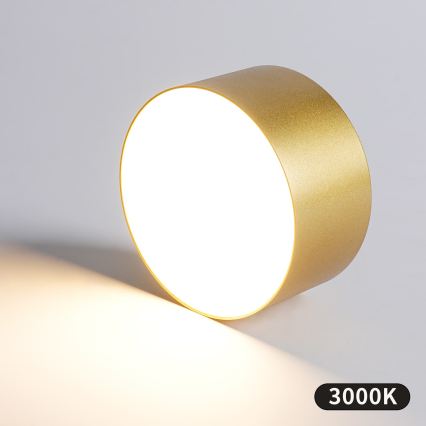 BRILAGI - LED Εξωτερικό φωτιστικό οροφής FORIS LED/14W/230V Ø 12 εκ. χρυσό IP44