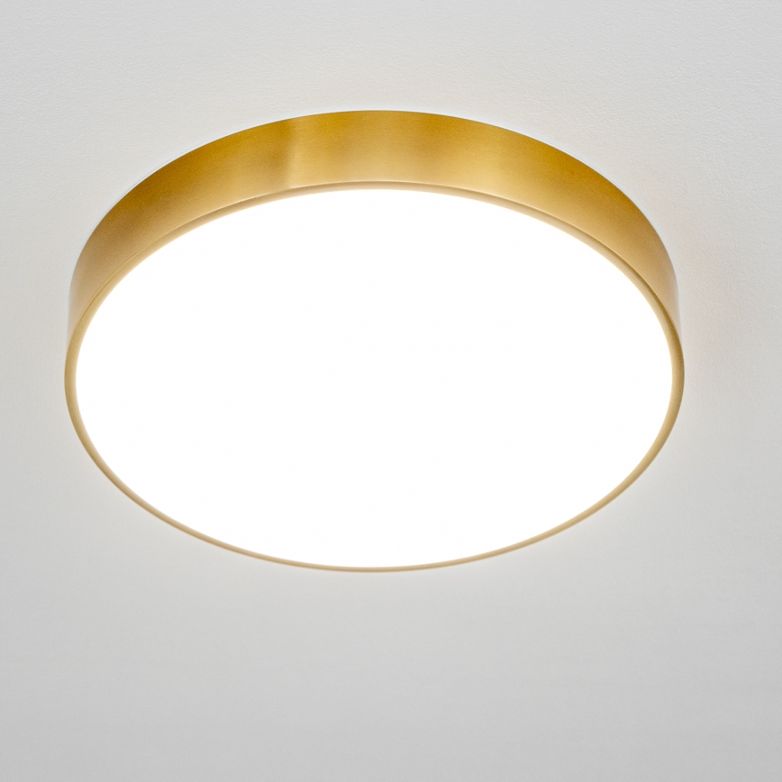 Brilagi - LED φωτιστικό οροφής μπάνιου POOL LED/36W/230V 3000/4000/5500K διάμ. 40 εκ. IP54 μπρονζέ