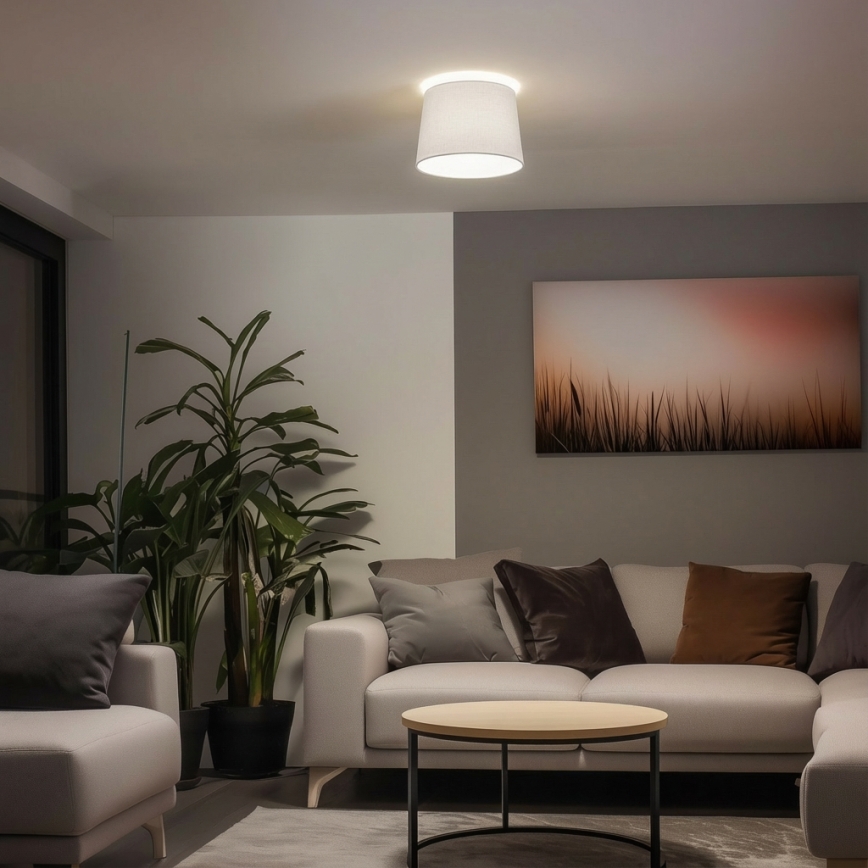 Brilagi - LED φωτιστικό οροφής επιφανειακής τοποθέτησης CERIA 1xE27/40W/230V Ø 30 cm λευκό