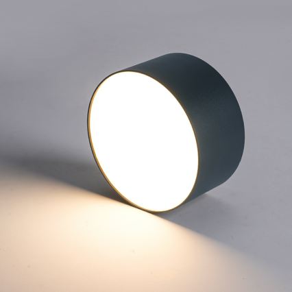 BRILAGI - LED Εξωτερικό φωτιστικό οροφής FORIS LED/20W/230V Ø 15 cm ανθρακί IP44