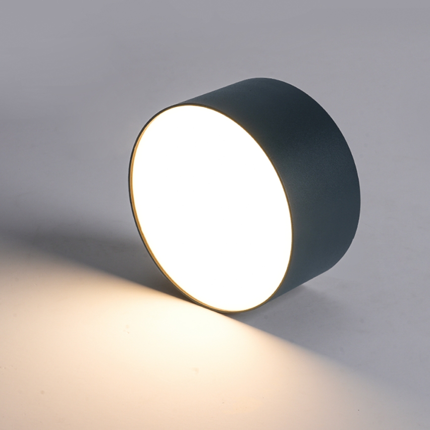 BRILAGI - LED Εξωτερικό φωτιστικό οροφής FORIS LED/20W/230V Ø 15 cm ανθρακί IP44