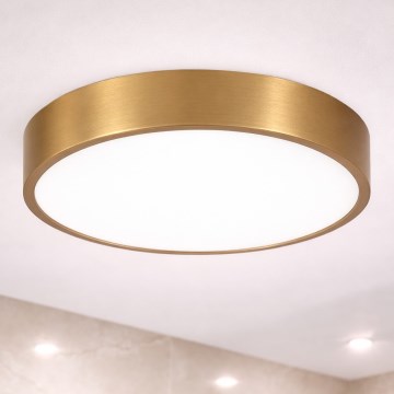 Brilagi - LED φωτιστικό οροφής μπάνιου POOL LED/36W/230V 3000/4000/5500K διάμ. 40 εκ. IP54 μπρονζέ