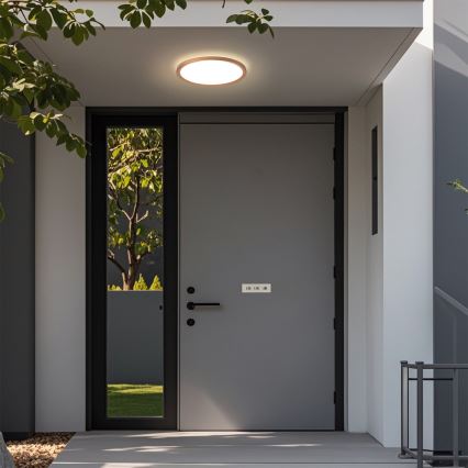 Brilagi - LED Φωτιστικό οροφής μπάνιου ULTRA SLIM LED/12W/230V Ø22,5 cm ροζ χρυσό IP54