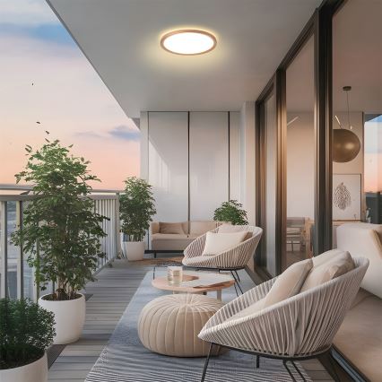 Brilagi - LED Φωτιστικό οροφής μπάνιου ULTRA SLIM LED/12W/230V Ø22,5 cm ροζ χρυσό IP54