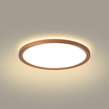 Brilagi - LED Φωτιστικό οροφής μπάνιου ULTRA SLIM LED/12W/230V Ø22,5 cm ροζ χρυσό IP54