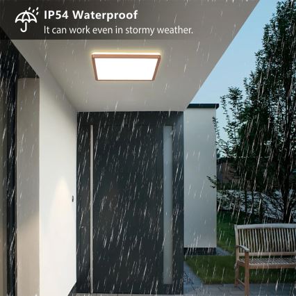 Brilagi - LED Φωτιστικό οροφής μπάνιου ULTRA SLIM LED/18W/230V 30x30 cm ροζ χρυσό IP54