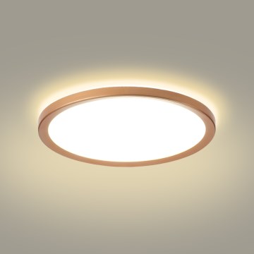 Brilagi - LED φωτιστικό οροφής μπάνιου ULTRA SLIM LED/24W/230V Ø 42 cm ροζ χρυσό IP54