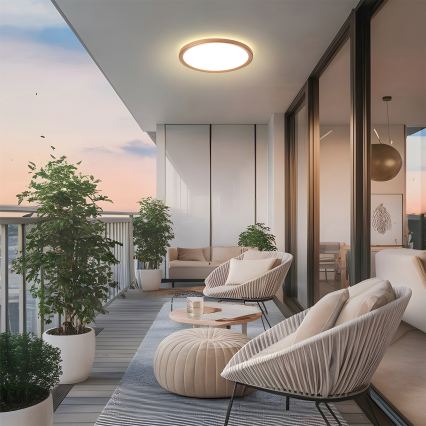 Brilagi - LED φωτιστικό οροφής μπάνιου ULTRA SLIM LED/24W/230V Ø 42 cm ροζ χρυσό IP54