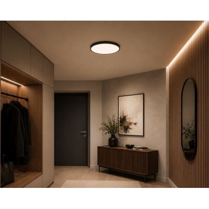 BRILAGI - Φωτιστικό οροφής μπάνιου LED ZENNA LED/18W/230V Ø 29,5 cm IP44 ανθρακί