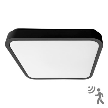 BRILAGI - LED Φωτιστικό οροφής μπάνιου με αισθητήρα ZENNA LED/36W/230V 41,5x41,5 cm IP44 μαύρο + τηλεχειριστήριο
