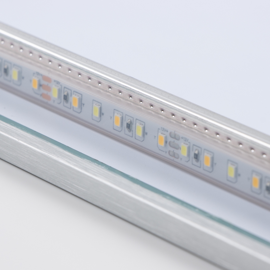 Brilagi - LED καθρέφτης μπάνιου DESIO LED/30W/230V 60x90 cm ασημί IP44 CRI 90 ρυθμιζόμενος + CCT