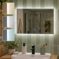 BRILAGI - LED Καθρέφτης μπάνιου LUCE LED/20W/230V 40x60 cm IP44 CRI 90 ρυθμιζόμενος + CCT