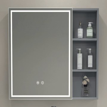 BRILAGI - LED καθρεπτιέρα μπάνιου με ενσωματωμένο φωτισμό AVOLA SINGLE 55x70 cm