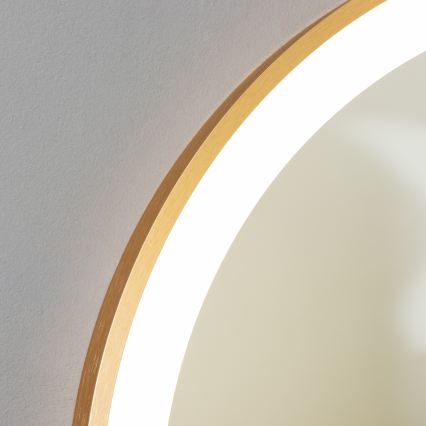 BRILAGI - LED καθρέφτης μπάνιου ERBA LED/25W/230V 50x80 cm χρυσός IP44 CRI 90 ρυθμιζόμενος + CCT