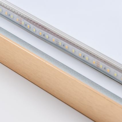 BRILAGI - LED καθρέφτης μπάνιου ERBA LED/25W/230V 50x80 cm χρυσός IP44 CRI 90 ρυθμιζόμενος + CCT