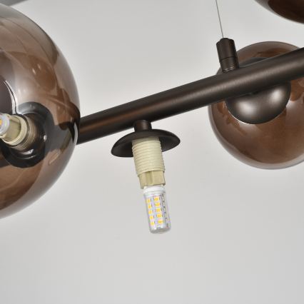 Brilagi - LED Κρεμαστό Φωτιστικό σε Καλώδιο MILLA 10xG9/3W/230V καφέ/καπνιστό καφέ