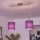 Brilagi - LED κρεμαστό φωτιστικό με καλώδιο NUBILA 2xE27/60W/230V μωβ