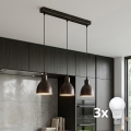 Brilagi - LED κρεμαστό φωτιστικό με καλώδιο RIDDY 3xE27/60W/230V χάλκινο/πατίνα