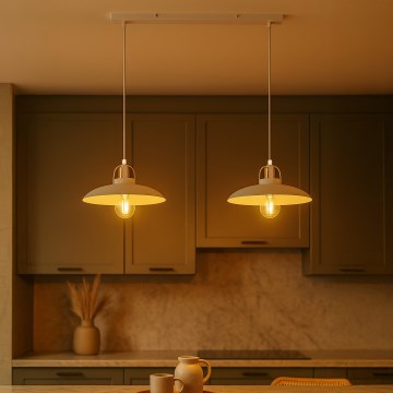 Brilagi - LED Κρεμαστό φωτιστικό οροφής FLAMENGO 2xE27/60W/230V λευκό