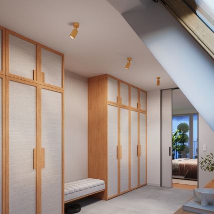 Brilagi - LED σποτ CRESTO 1xGU10/10W/230V χρυσό