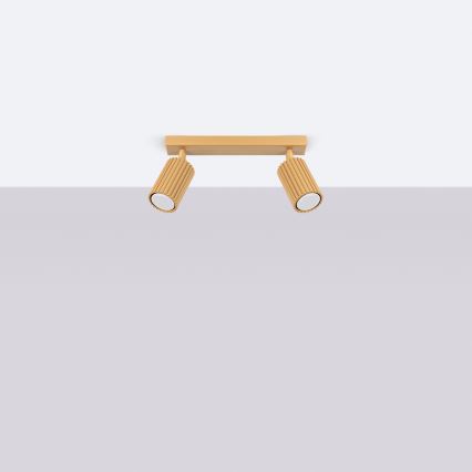 Brilagi - LED σποτ φωτιστικό CRESTO 2xGU10/10W/230V χρυσό