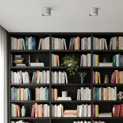 Brilagi - LED Σποτ φωτιστικό STRIPY 1xGX53/15W/230V ασημί