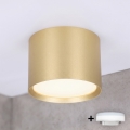 BRILAGI - LED σποτ μπάνιου SMOOTH 1xGX53/15W/230V 60x82 mm χρυσό IP54